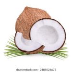 老人free viodes中国老 764ib1