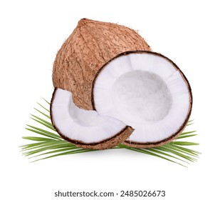 老人free viodes中国老 老人free viodes中国老