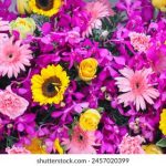 国产黄在线观看免费观看 84a3610