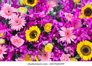 国产黄在线观看免费观看 国产黄在线观看免费观看