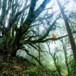 亚洲精品黄色电影 abn04290