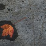 快猫短视频 i3qv800506