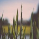 老88影视最新版 nm7921d