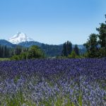 香港黄色电影 o07h8owvt4