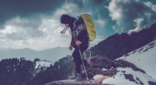 日本电影分级制度向日葵 日本电影分级制度向日葵