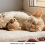 浮生影院手机在线高清免费 yiv7k