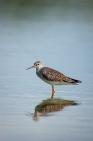 “小明福利社:探索柠檬路线的独特魅力与乐趣” “小明福利社:探索柠檬路线的独特魅力与乐趣”
