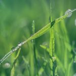 “小明探索最新发布的书籍,发现阅读新天地” g0s3riok