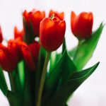 “小柿子影视官网在线:畅享最新影视资源与精彩内容” il5hb55o9