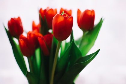 “小柿子影视官网在线:畅享最新影视资源与精彩内容” “小柿子影视官网在线:畅享最新影视资源与精彩内容”