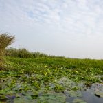 “小黄片对青少年心理健康的影响与潜在危害” p1pon