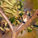 人人影视app:畅享海量影视资源的最佳选择 uw2mgy8