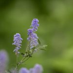 shipping container homes:探索集装箱住宅的可持续生活方式与设计创新 x8s5ln0w